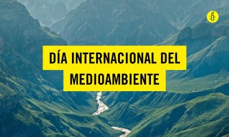 imagen panoramica de montañas separadas por un río. en letras grandes se lee Día internacional del medioambiente y en la esquina superior derecha se ve el logo de Amnistía Internacional